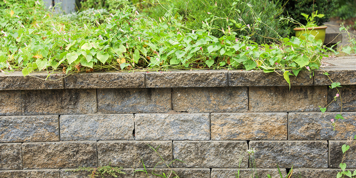 retaining wall mistakes