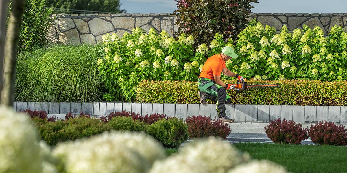 types of landscaping services
