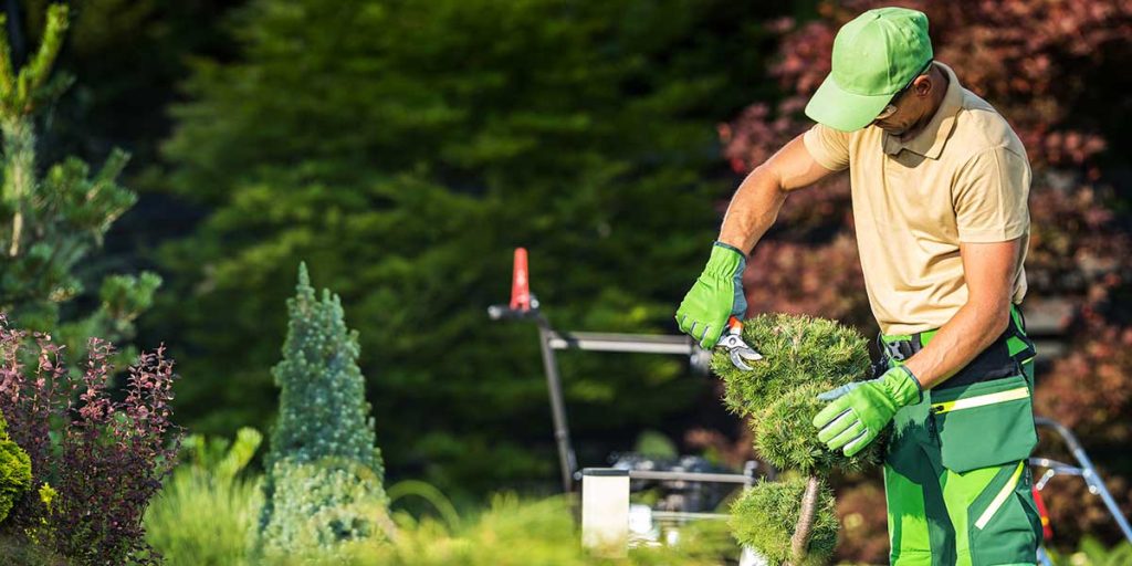 landscaping company​