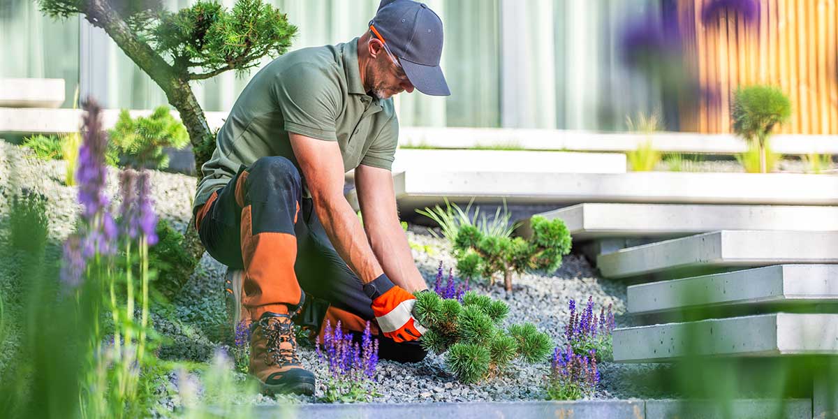 how long does landscaping take