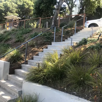 Concrete hillside staircase with metal handrails climbing a slope planted with ornamental grasses and groundcover.